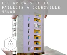 Les avocats de la faillite à  Colesville Manor