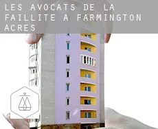 Les avocats de la faillite à  Farmington Acres
