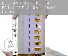 Les avocats de la faillite à  Galloway Farms