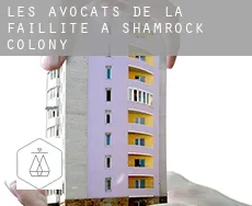 Les avocats de la faillite à  Shamrock Colony