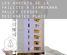 Les avocats de la faillite à  Skamokawa Valley