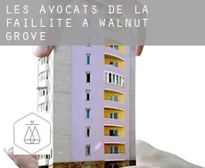 Les avocats de la faillite à  Walnut Grove