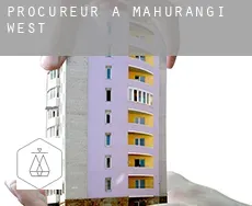 Procureur à Mahurangi West