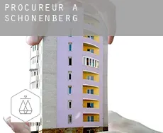 Procureur à Schönenberg