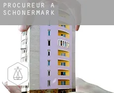 Procureur à  Schönermark