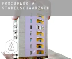 Procureur à  Stadelschwarzach