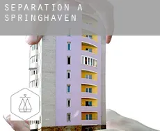 Séparation à Springhaven