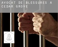 Avocat de blessures à Cedar Grove