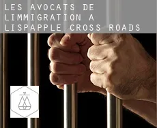 Les avocats de l'immigration à  Lispapple Cross Roads