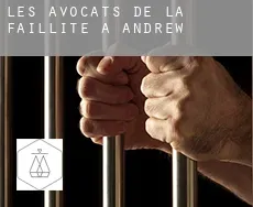 Les avocats de la faillite à  Andrew