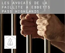 Les avocats de la faillite à  Ebbetts Pass Highlands