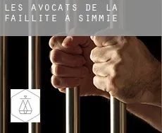 Les avocats de la faillite à  Simmie