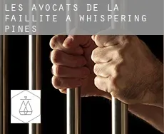 Les avocats de la faillite à Whispering Pines