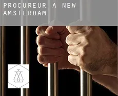 Procureur à  New Amsterdam