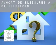 Avocat de blessures à  Mittelseemen