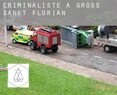 Criminaliste à Groß Sankt Florian