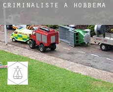 Criminaliste à  Hobbema