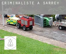 Criminaliste à  Sarrey