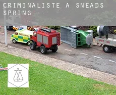Criminaliste à Sneads Spring