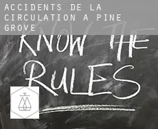 Accidents de la circulation à  Pine Grove