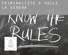 Criminaliste à  Valle de la Serena
