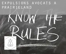 Expulsions avocats à  Prairieland