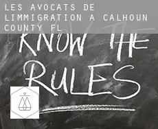 Les avocats de l'immigration à Calhoun