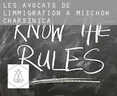Les avocats de l'immigration à Miechów Charsznica
