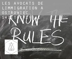 Les avocats de l'immigration à  Ostrowiec Świętokrzyski