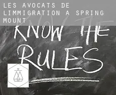 Les avocats de l'immigration à  Spring Mount