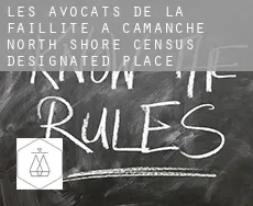Les avocats de la faillite à  Camanche North Shore