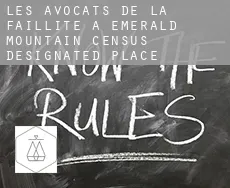 Les avocats de la faillite à  Emerald Mountain