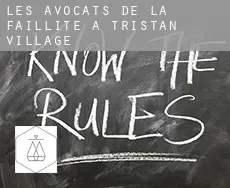 Les avocats de la faillite à  Tristan Village