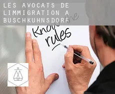 Les avocats de l'immigration à  Buschkuhnsdorf