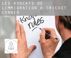 Les avocats de l'immigration à  Cricket Corner
