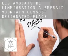 Les avocats de l'immigration à Emerald Mountain
