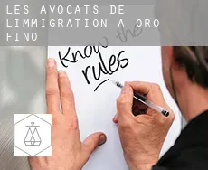 Les avocats de l'immigration à  Oro Fino