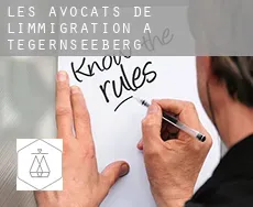Les avocats de l'immigration à  Tegernseeberg