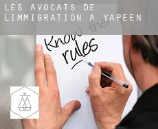Les avocats de l'immigration à Yapeen