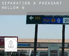 Séparation à  Pheasant Hollow N