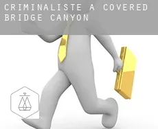 Criminaliste à  Covered Bridge Canyon