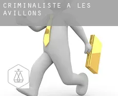 Criminaliste à Les Avillons