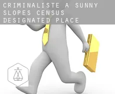 Criminaliste à  Sunny Slopes