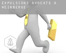 Expulsions avocats à Weinberge