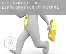 Les avocats de l'immigration à  Pramol