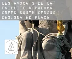 Les avocats de la faillite à  Paloma Creek South