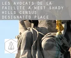 Les avocats de la faillite à  West Shady Hills