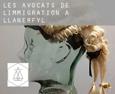 Les avocats de l'immigration à  Llanerfyl