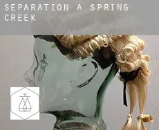 Séparation à  Spring Creek