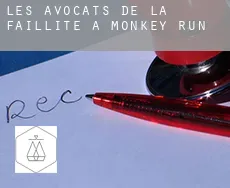 Les avocats de la faillite à  Monkey Run